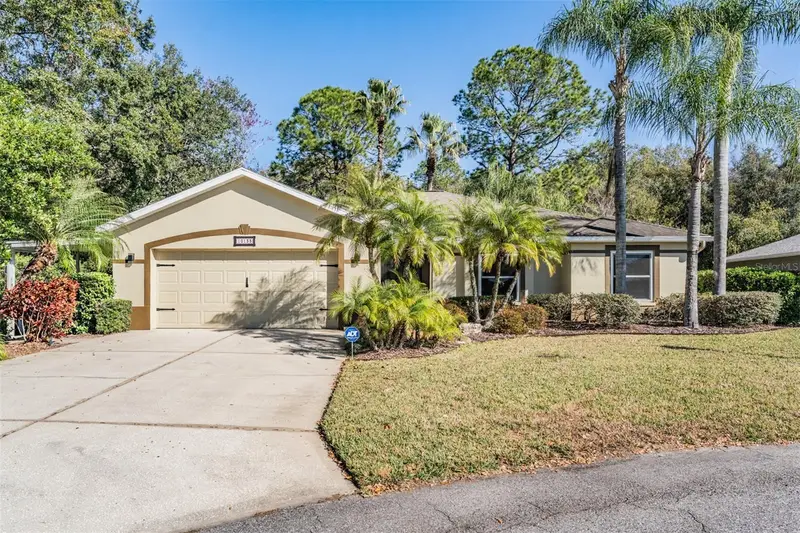 10133 Collar Dr, FL