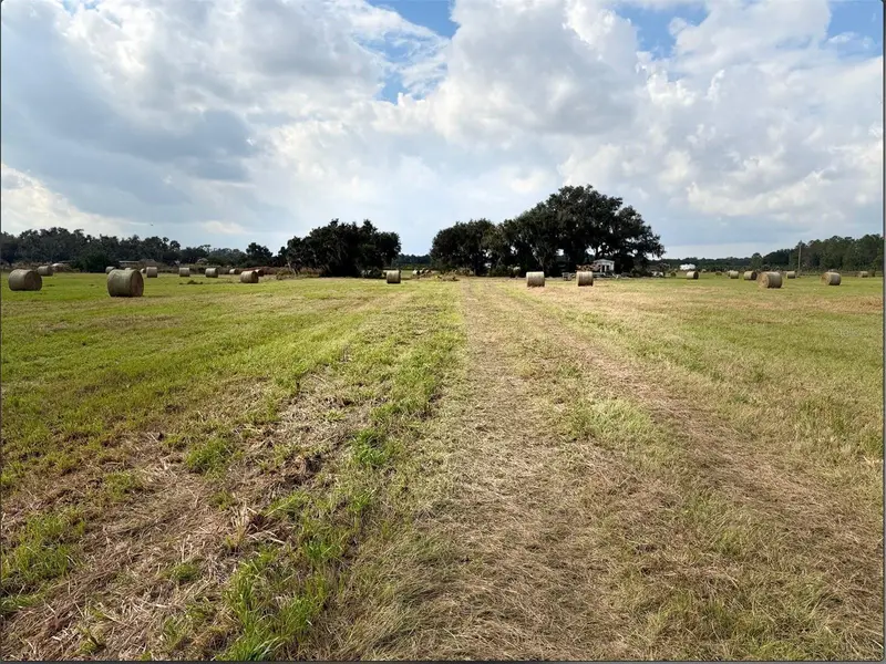 13029 S County Road 39, FL