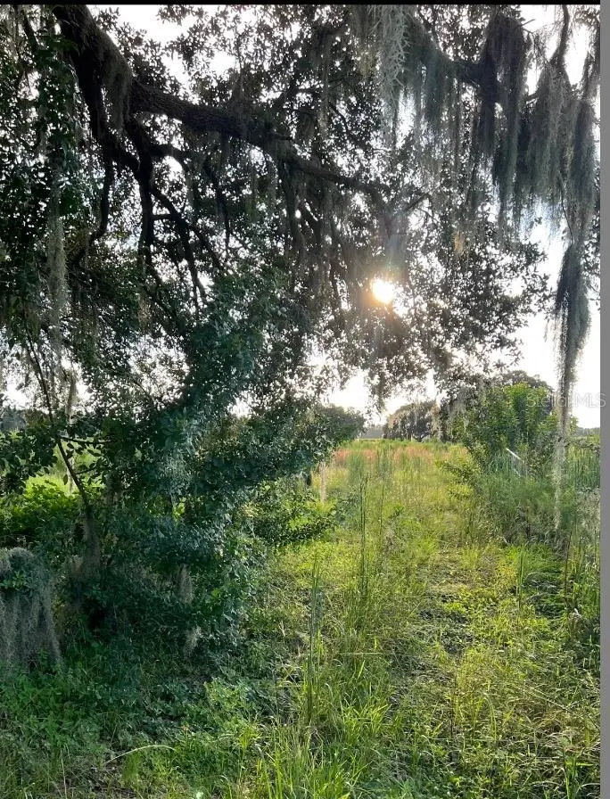 13029 S County Road 39, FL