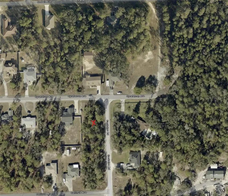 0 Gyrafalcon Ave, FL