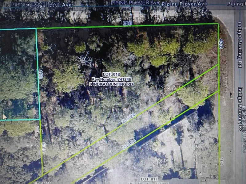 12449 Indigo Bunting, FL