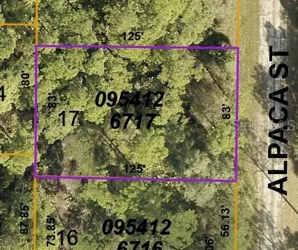 Lot 17 Alpaca St, FL