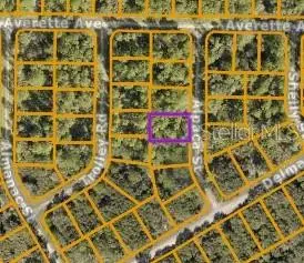 Lot 17 Alpaca St, FL