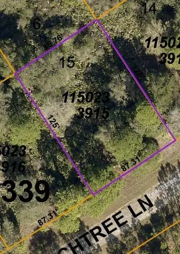 Lot 15 Peachtree Ln, FL