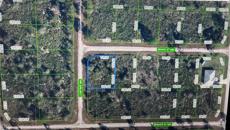 108 Lear Ave Nw, FL