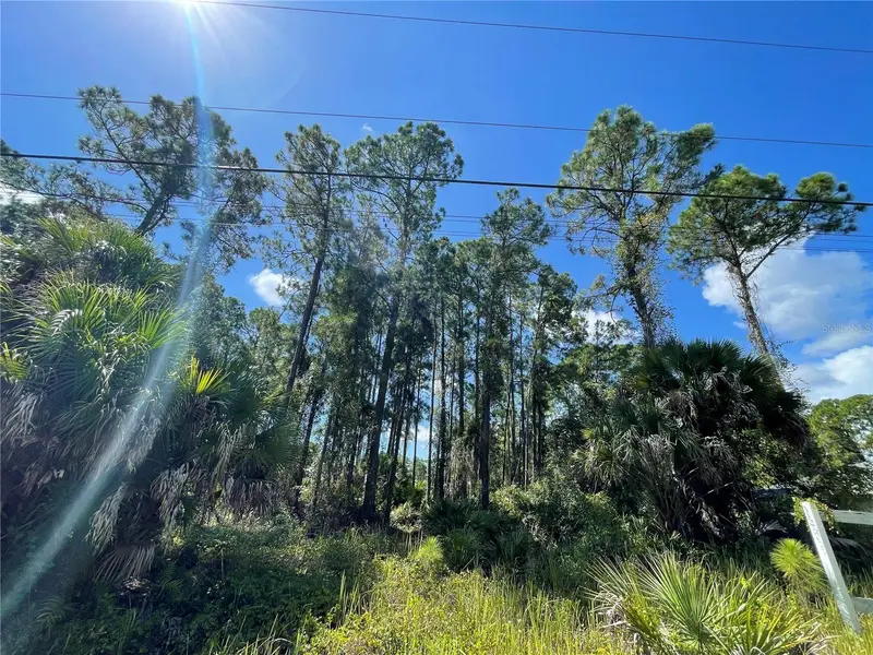 Noppenberg Ave #Lot 30, FL