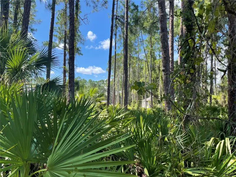 Noppenberg Ave #Lot 30, FL