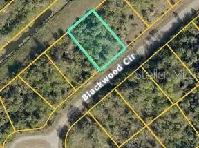 Blackwood Cir, FL