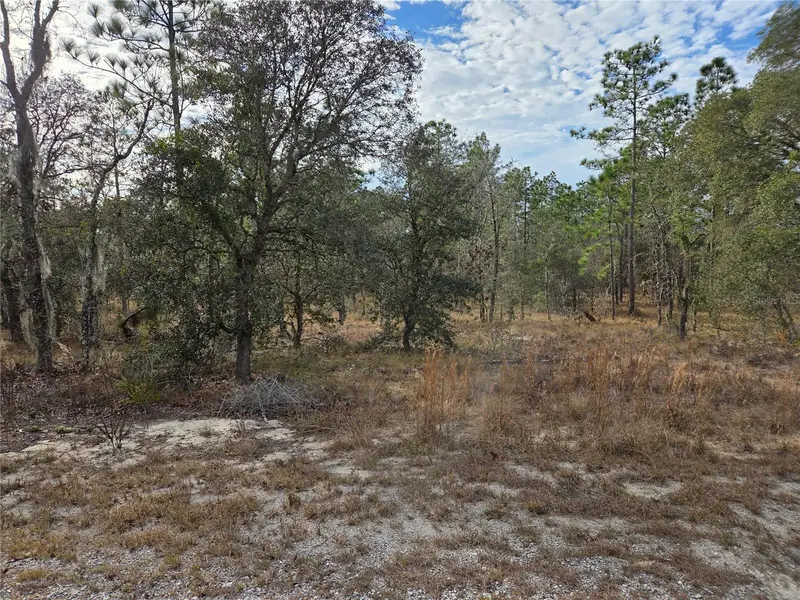 0000 Se 128th Ave, FL
