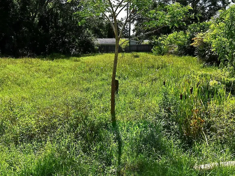 Olive Ave, FL