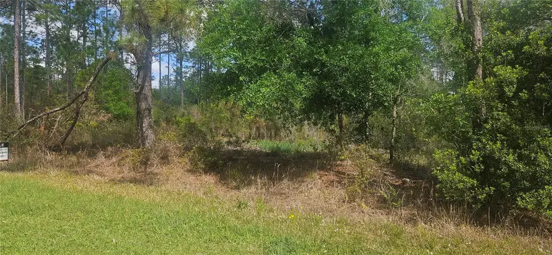 408 Pandora Dr, FL