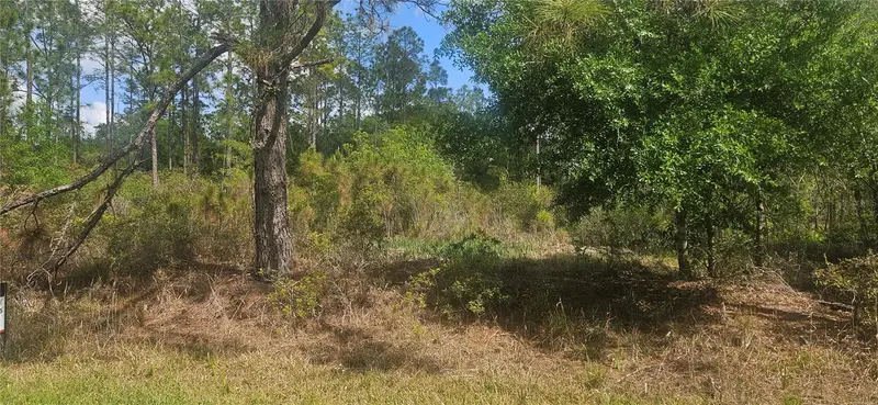 408 Pandora Dr, FL