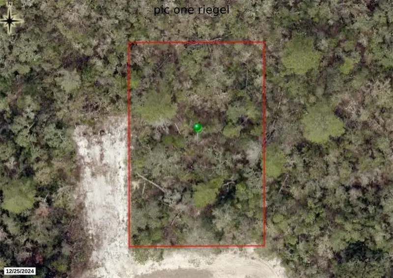 Riegel (Paper) Ave, FL