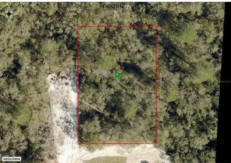 Riegel (Paper) Ave, FL