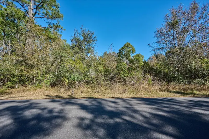 0 Lantana Dr S, FL