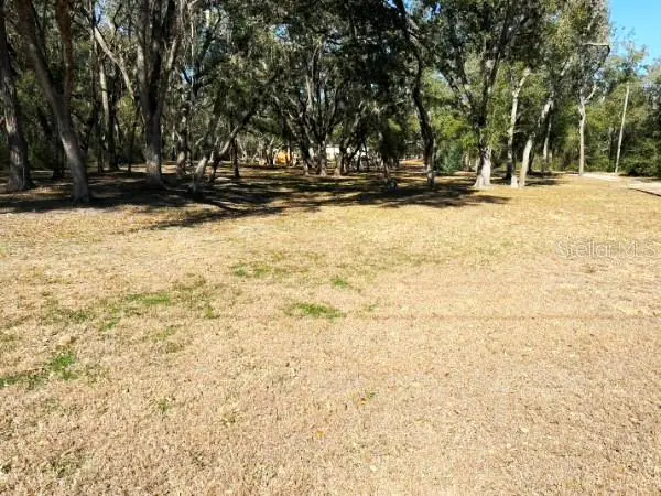 16347 Albright Rd, FL