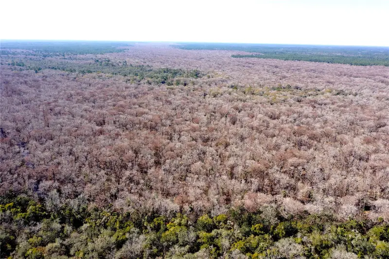 Tbd Ne 170th Avenue Rd, FL