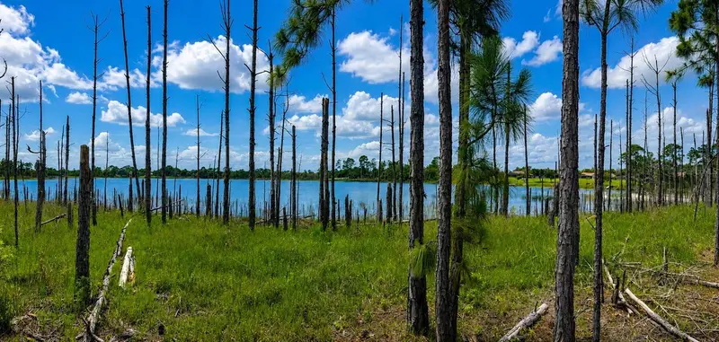Melshire Ave, FL