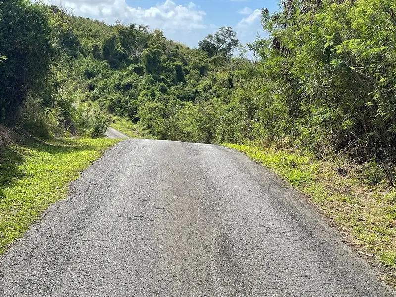 S Lomas De Expreso #44, PR