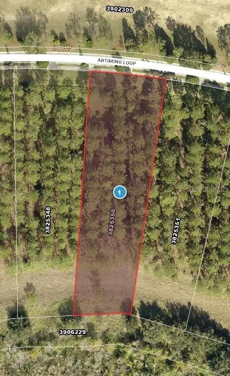 16802 Artimino Loop, FL