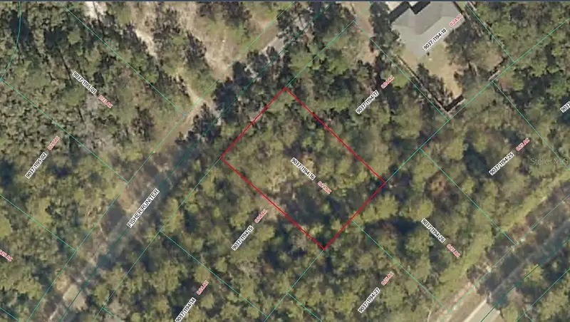 Tbd Se Fisher Run Ter #Lot 16, FL