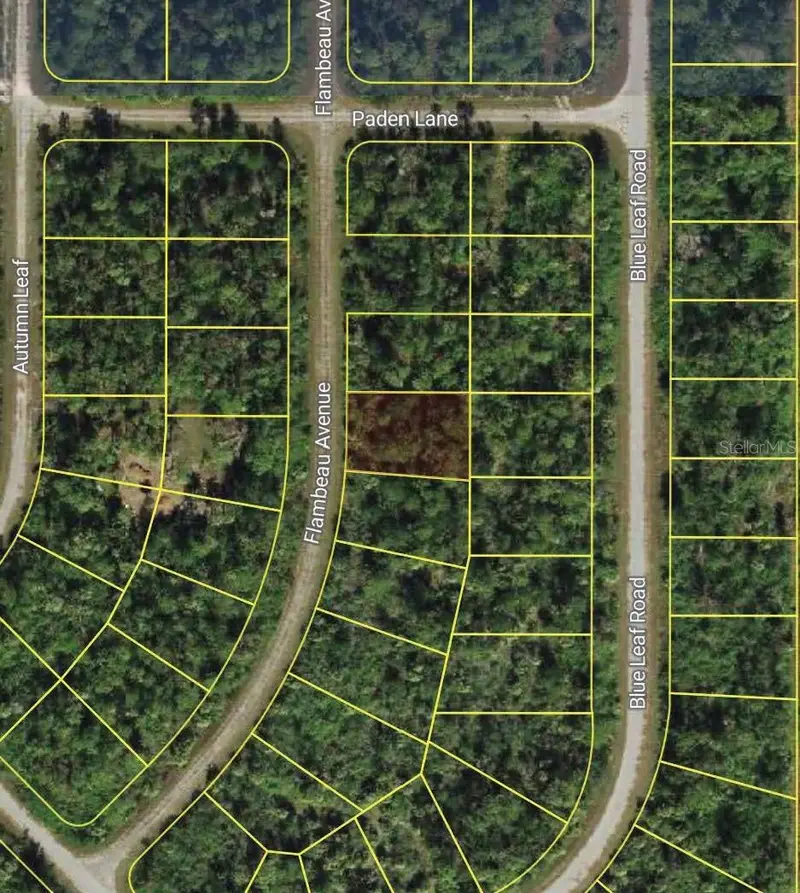 Flambeau Ave, FL