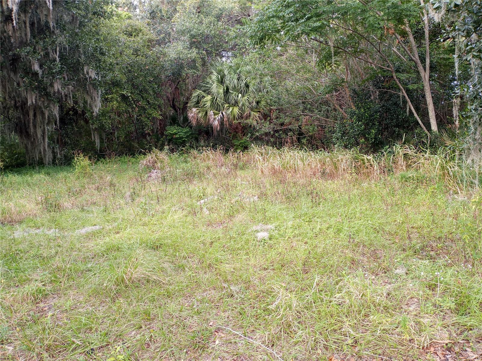 Carver St, FL