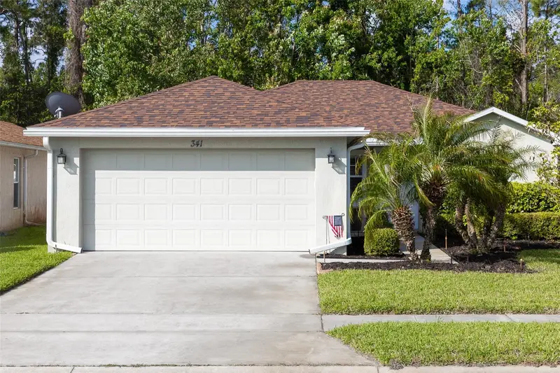 341 Dahoon Holly Dr, FL