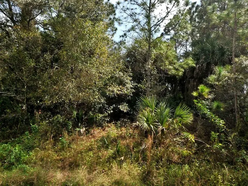 Hamilton Ave, FL