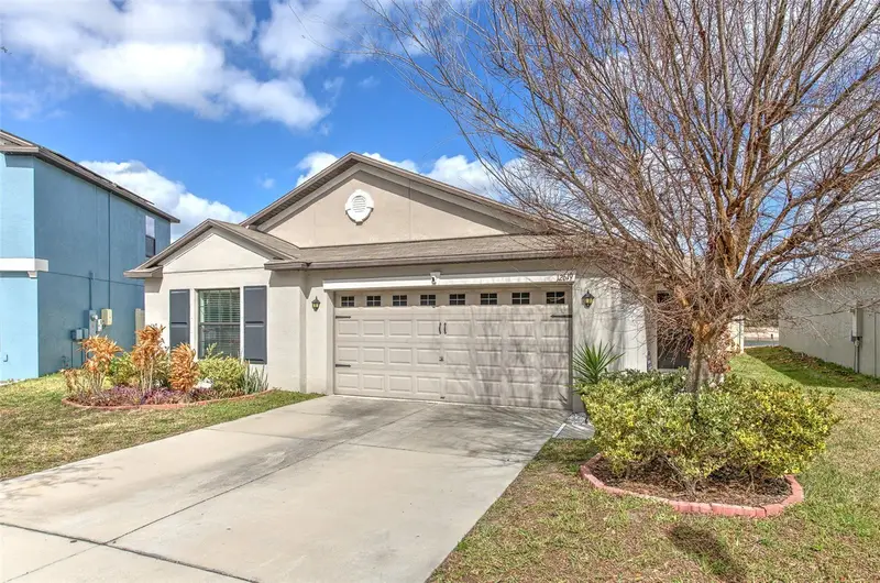 12619 Lemon Pepper Dr, FL