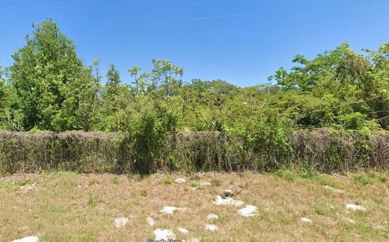 Boitnott Ln, FL