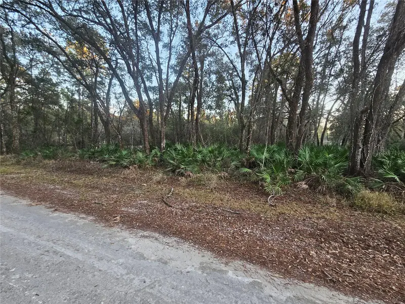Rosehill Dr, FL