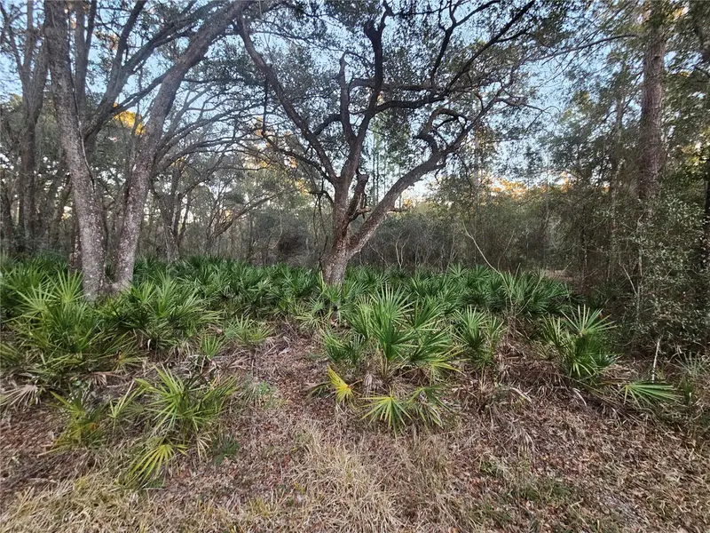 Rosehill Dr, FL