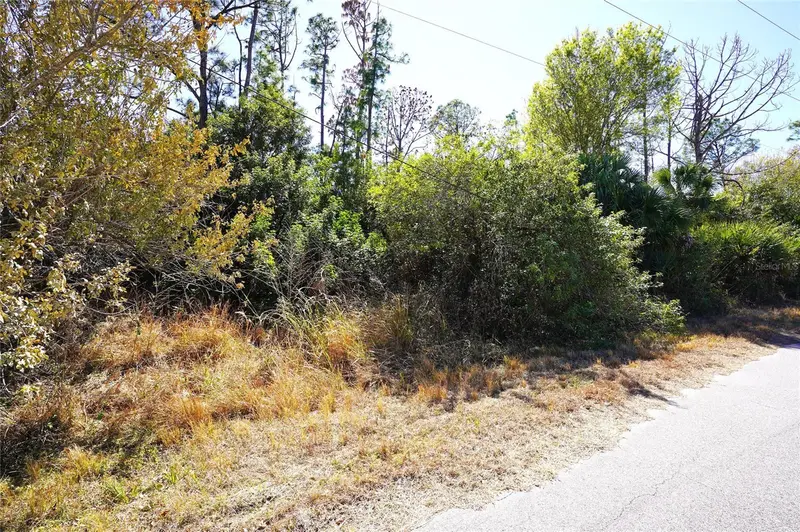 Sedberry Ave, FL
