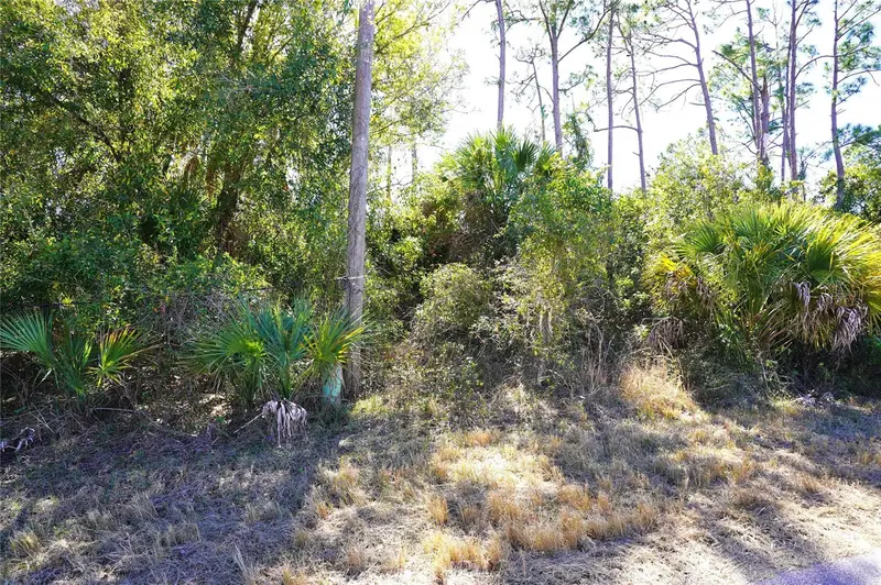 Sedberry Ave, FL