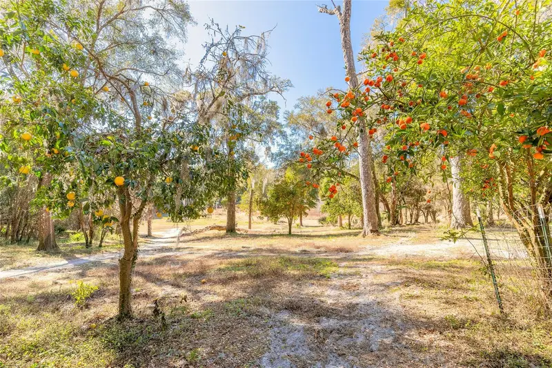 2095 Stone Rd, FL