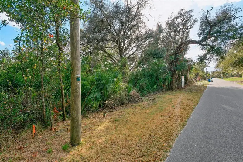 11119 Bessie Dix Rd, FL