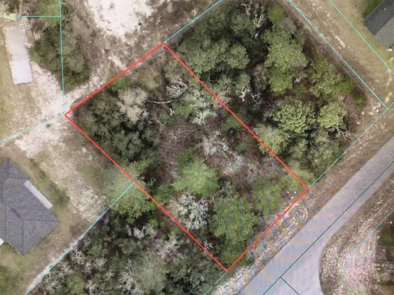 Sw 55 Avenue Rd, FL