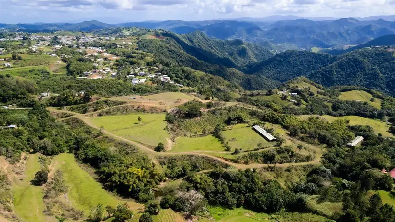 Road 152 Camino Las Orquideas Rd, PR