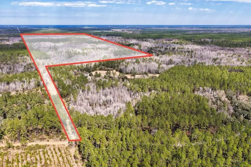 60 Acres Nw Clyatt Road, FL