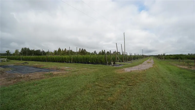Douglas Rd, FL