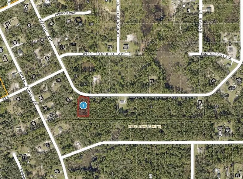 Apricot Ave, FL
