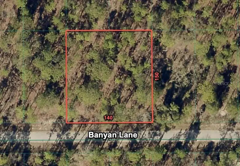 24309 Nw Banyan Ln, FL