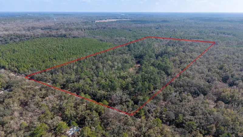 Tbd Ne 25th Ave, FL