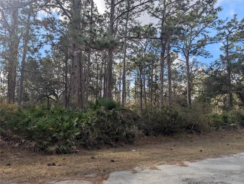 Allamanda Dr, FL