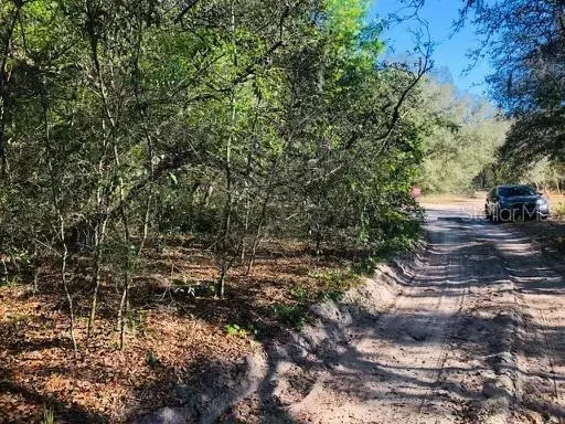 Oakridge Dr, FL