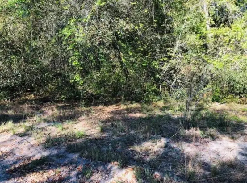Oakridge Dr, FL