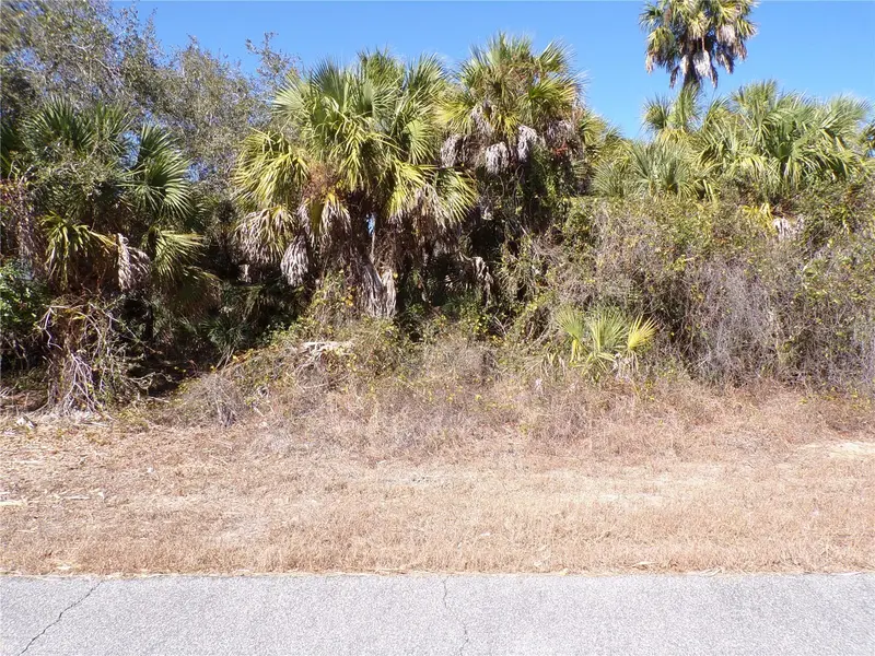Las Almanos Ave, FL