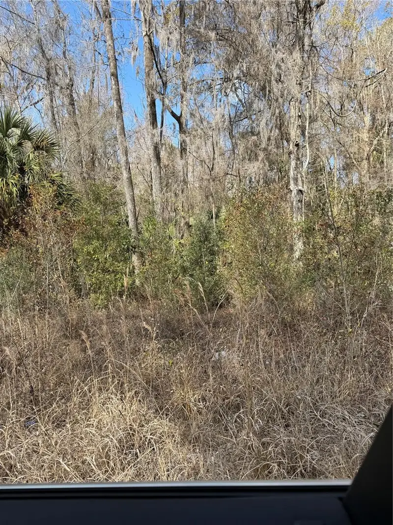 18 St, FL