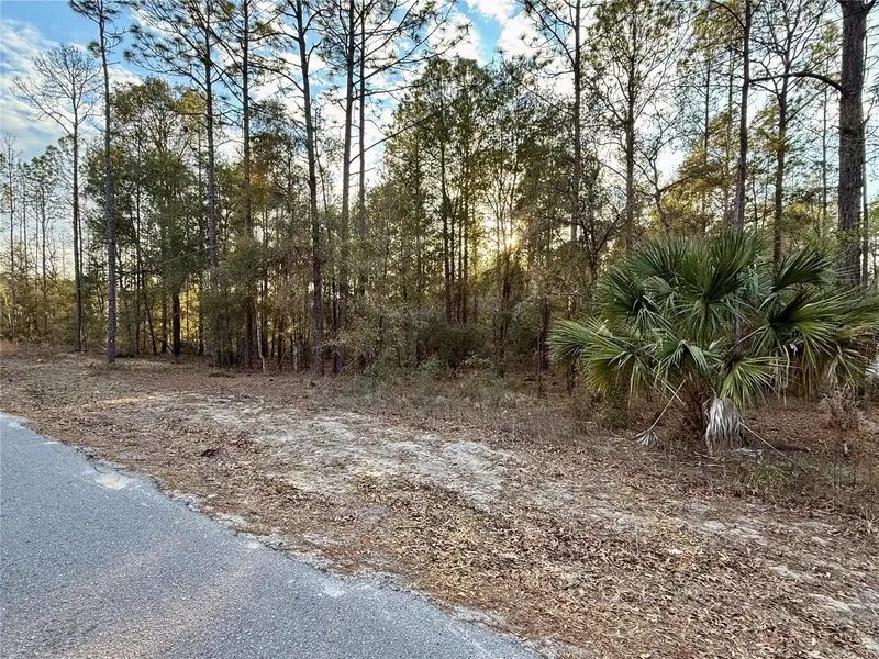 Sw 205th Circle, FL